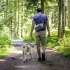 Un homme et un chien de dos qui marchent sur un sentier dans une forêt.