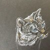 Sylvie Desrosiers a troqué le bouquin pour le dessin.