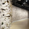 Des fleurs séchées accrochées sur un mur d'une galerie d'art.