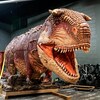 Une réplique de dinosaure est en cours d'instalation dans une salle d'exposition de Science Nord à Sudbury.