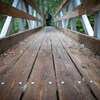 Un pont de bois au milieu de la forêt, avec des gens à l'autre bout, dans le parc de Chun T'oh Whudujut en Colombie-Britannique, en juin 2022.