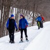 Vue sur un large sentier enneigé en forêt. Des sportifs chaudement habillés partagent la voie pour pratiquer la raquette, le vélo d'hiver et le ski de fond.