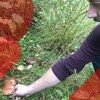 Yvan Vincent dans la forêt et cueille un champignon de couleur brune.