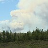 Un feu de fôret