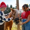 Le duo flatte un cheval.