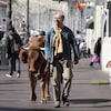 En pleine rue, un homme marche en tenant sa vache par une corde.