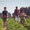 Deux enfants et une femme marchent dans un champ en transportant des paniers de fraises.