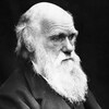 Portrait de profil de Charles Darwin