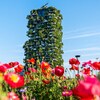 Une photo de Bosco Verticale, une grande tour couverte de plantes et d'arbres au milieu de Milan.