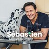Dalmatien, vétérinaire