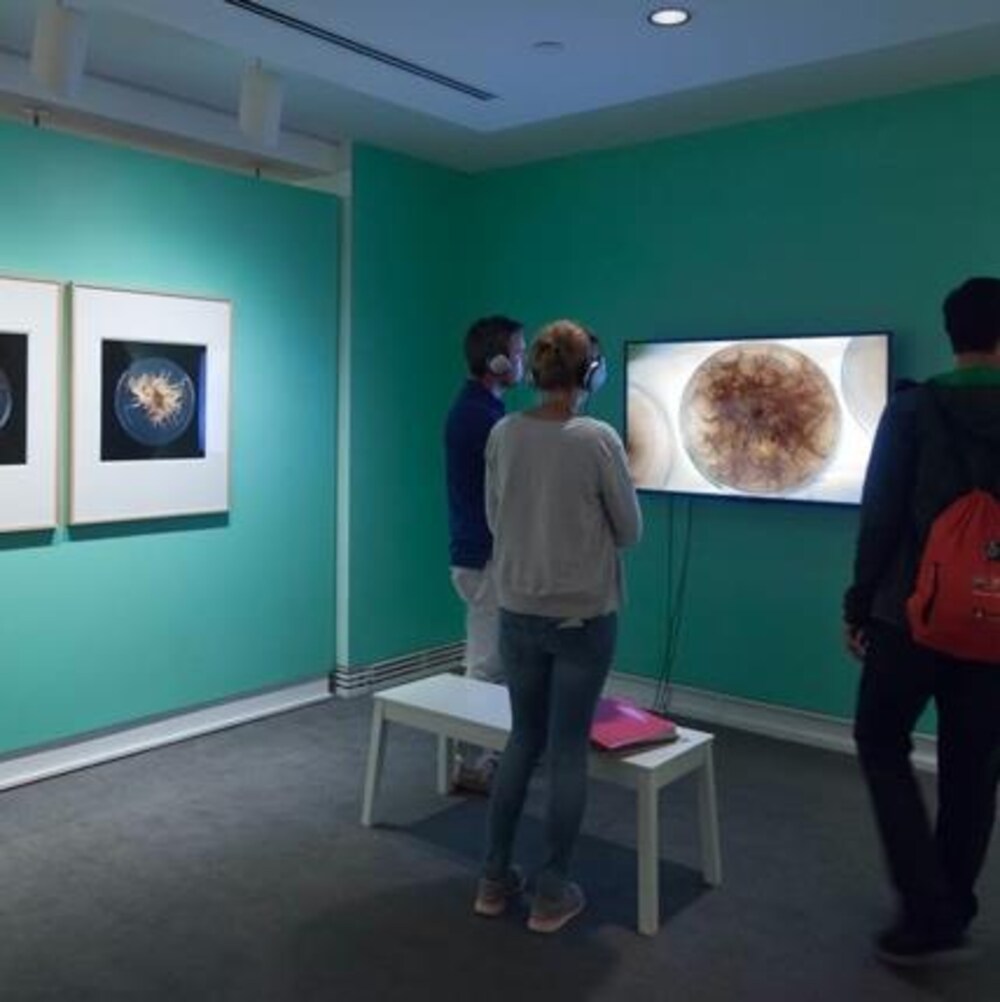 Des gens debout observent des vidéos en portant des écouteurs dans une salle d'exposition.