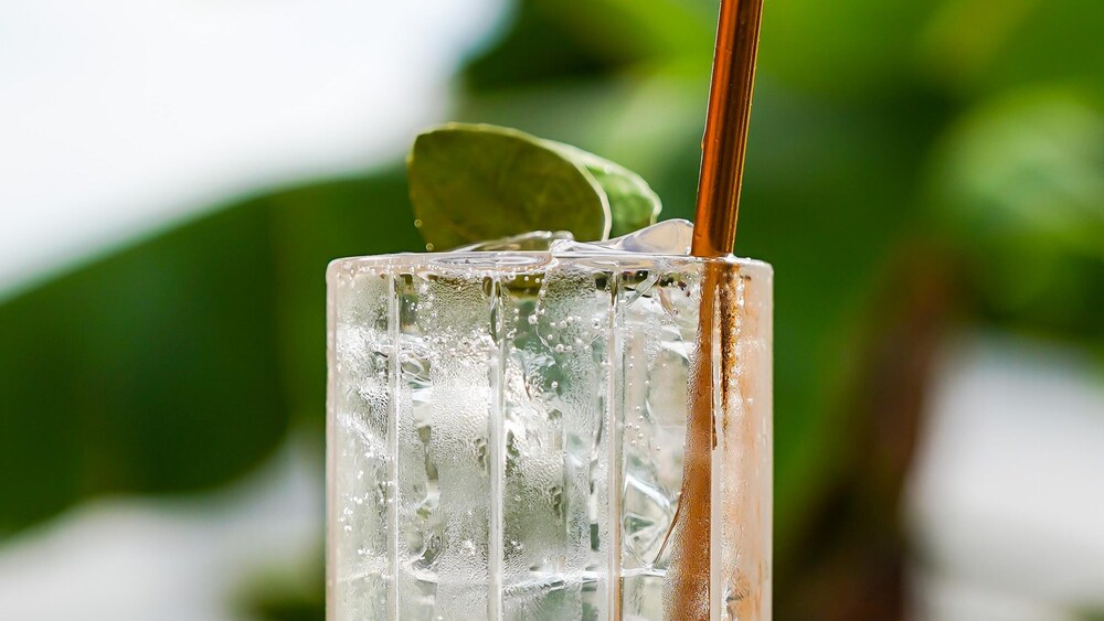 Le cocktail le mojito des bois dans un verre à gin (highball).