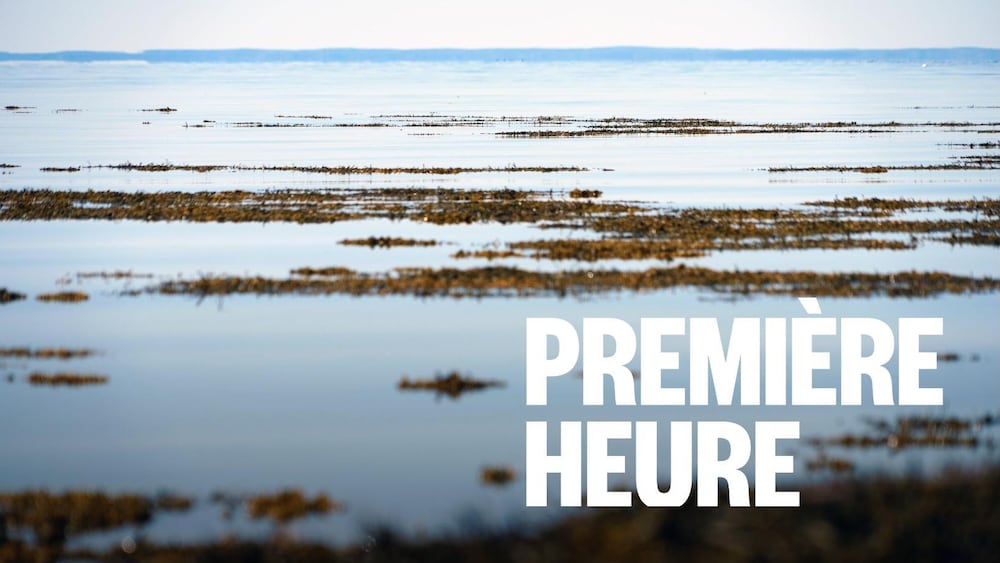 Un cours d'eau.