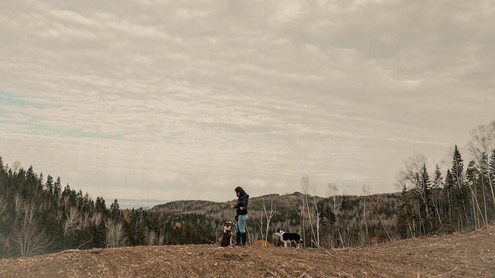 Une femme et deux chiens sur un terrain dans une forêt.