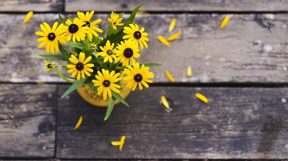 Un bouquet de fleurs jaunes sur fond en bois.