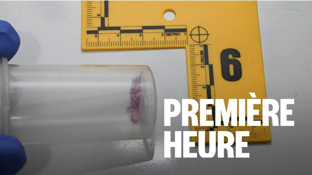 Un pot contenant une substance rose devant un marqueur de pièce à conviction affichant le numéro six.