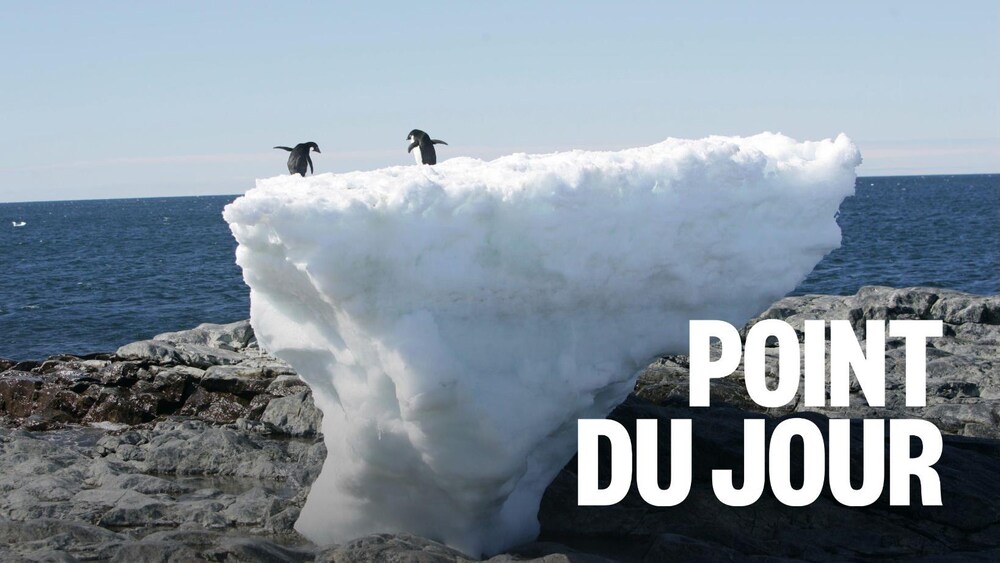 Des pingouins se tiennent sur un bloc de glace fondant lentement, en Antarctique.