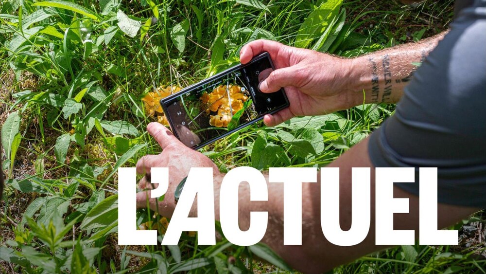 Un homme qui photographie un champignon dans l'herbe.
