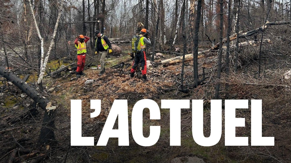 Du personnel évalue le sentier Mantario, en marchant dans une forêt brûlée.