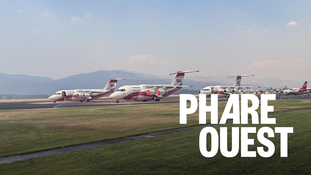 Des avions sur un tarmac.