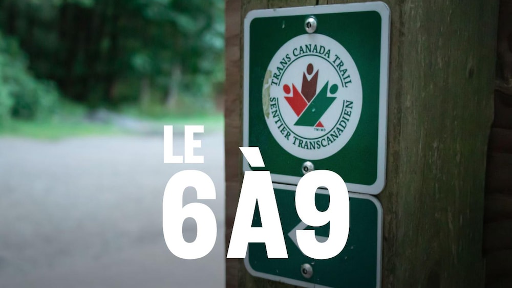 Un panneau du sentier Transcanadien sur un mur en bois.