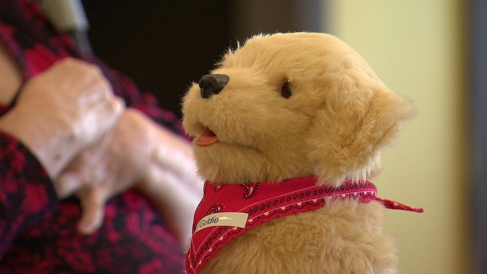 Un petit chien jouet beige avec un foulard rouge.