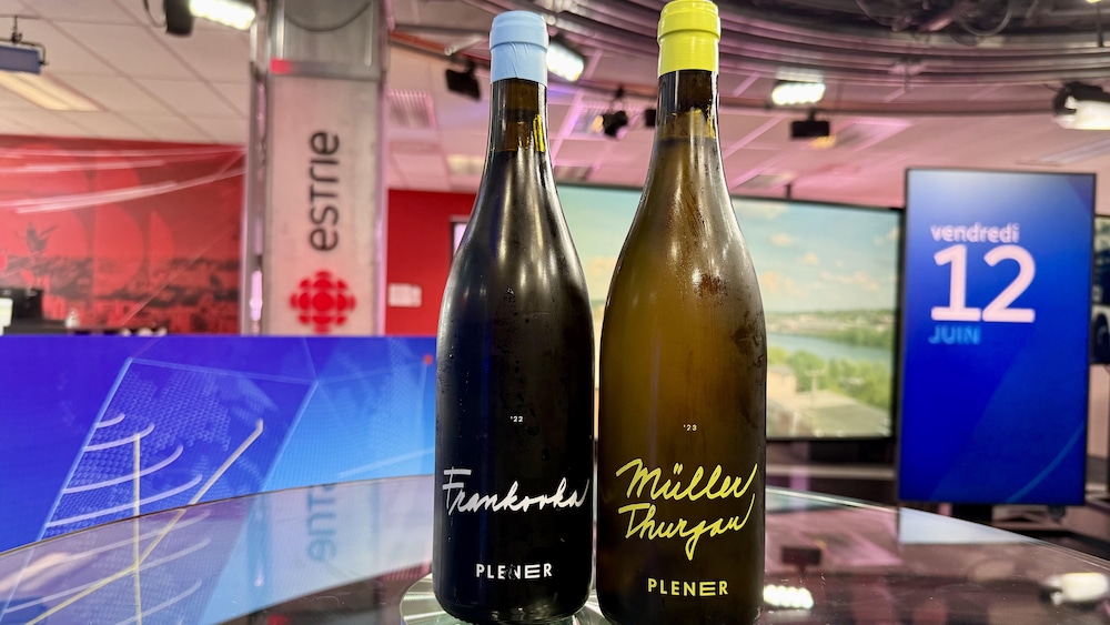 Deux bouteilles de vins.