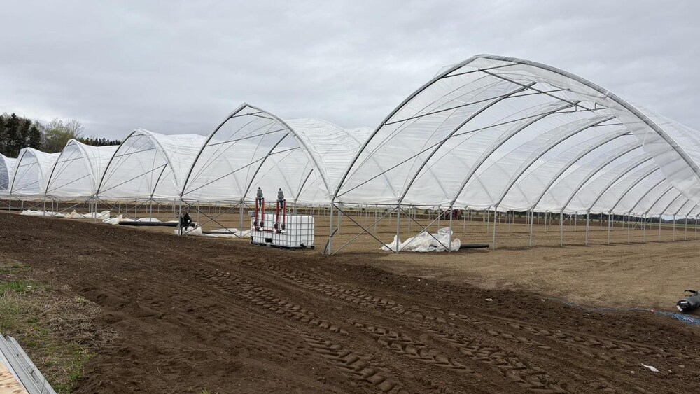 Des structures installés dans un champs.