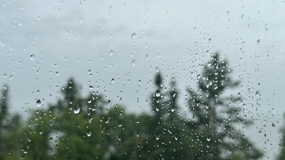 De la pluie coule sur une fenêtre extérieure qui donne sur une forêt et le fleuve Saint-Laurent.