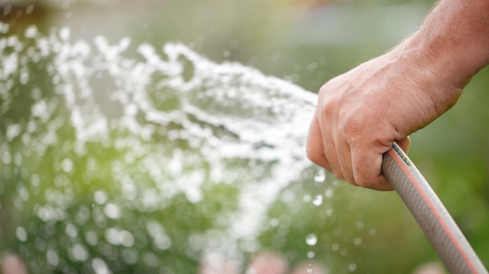 Gros plan sur la main d'une personne qui tient un tuyau d'arrosage duquel sort de l'eau.