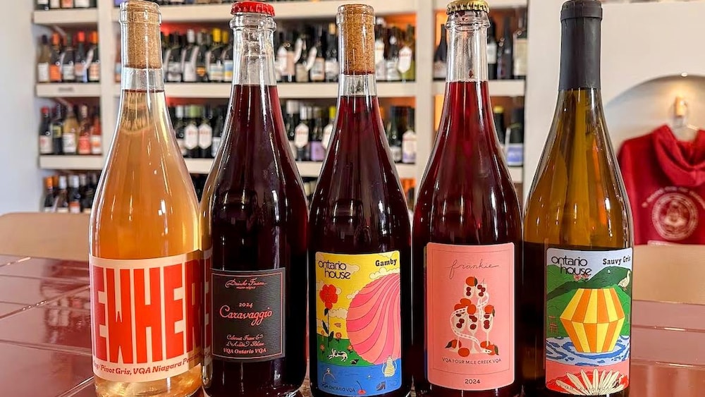 Cinq bouteilles de vin du vignoble Ontario House sur un comptoir devant des rayons de bouteilles de vin. 