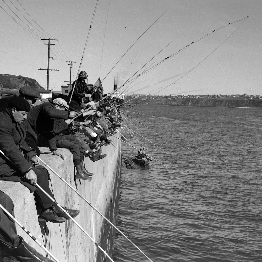 La pêche à l'éperlan en septembre sur le quai. On voit des dizaines de lignes lancées à l'eau et des pêcheurs bien emmitouflés.