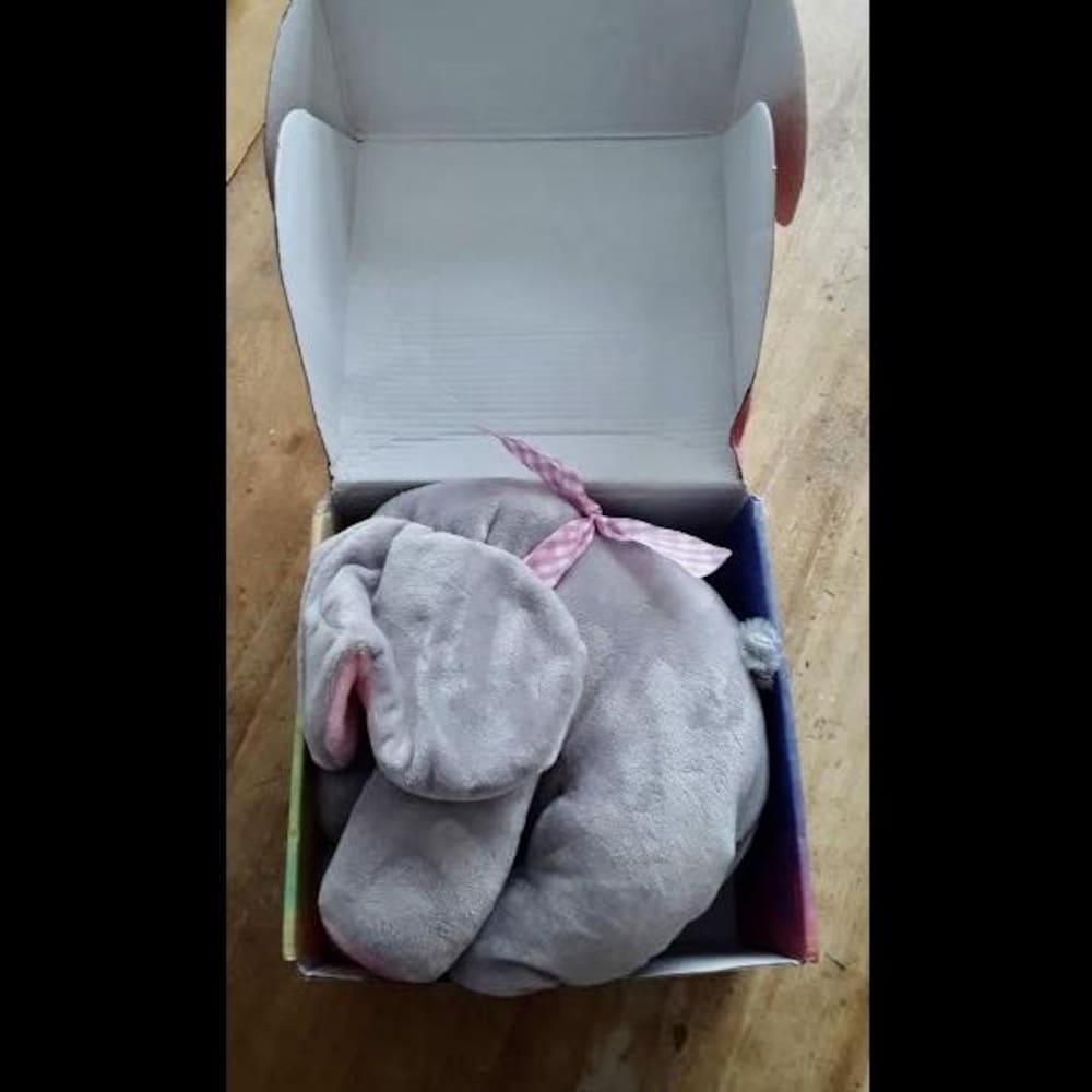 Une peluche en forme d’éléphant écrasée dans une boîte en carton.
