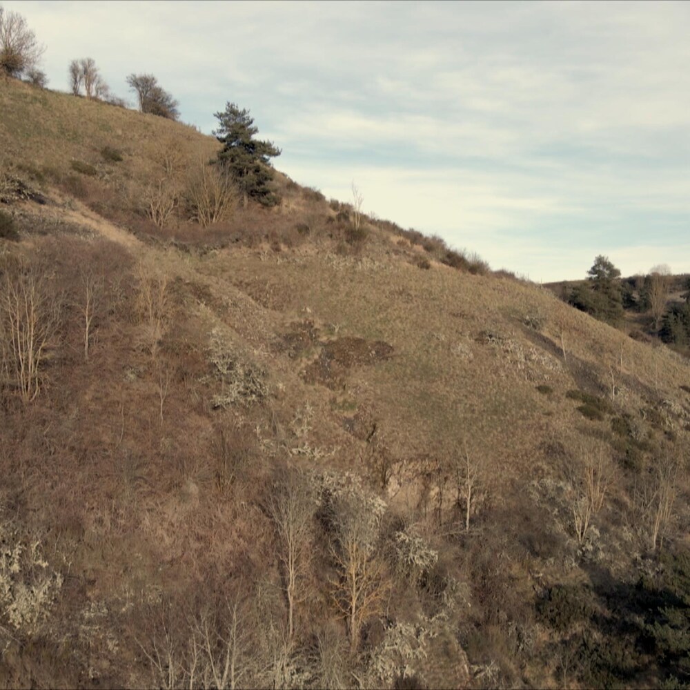 Un paysage sec, en Ardèche.
