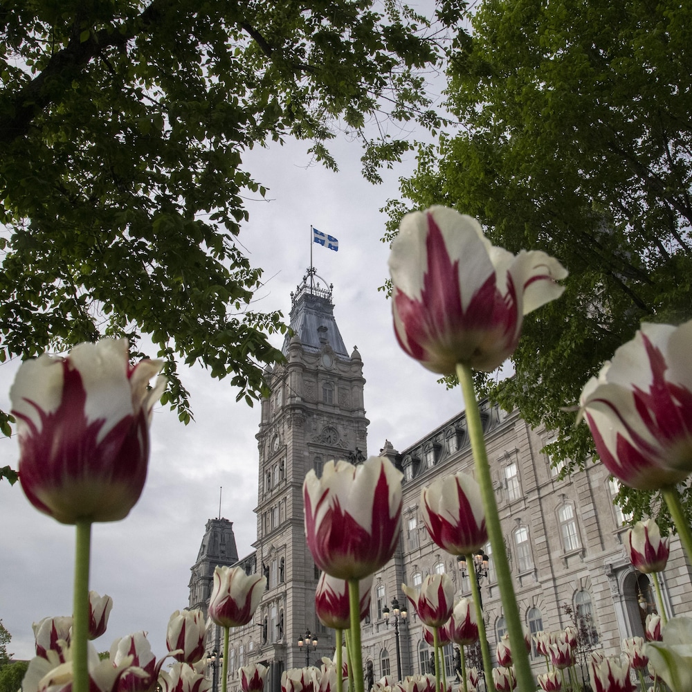 Le parlement du Québec et des fleurs.