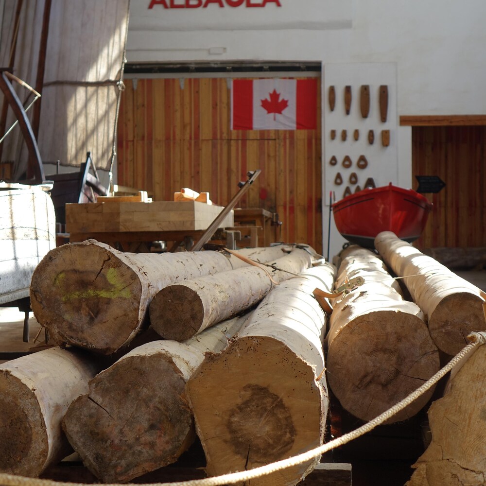 Des sapins utilisés pour construire les mâts du galion.