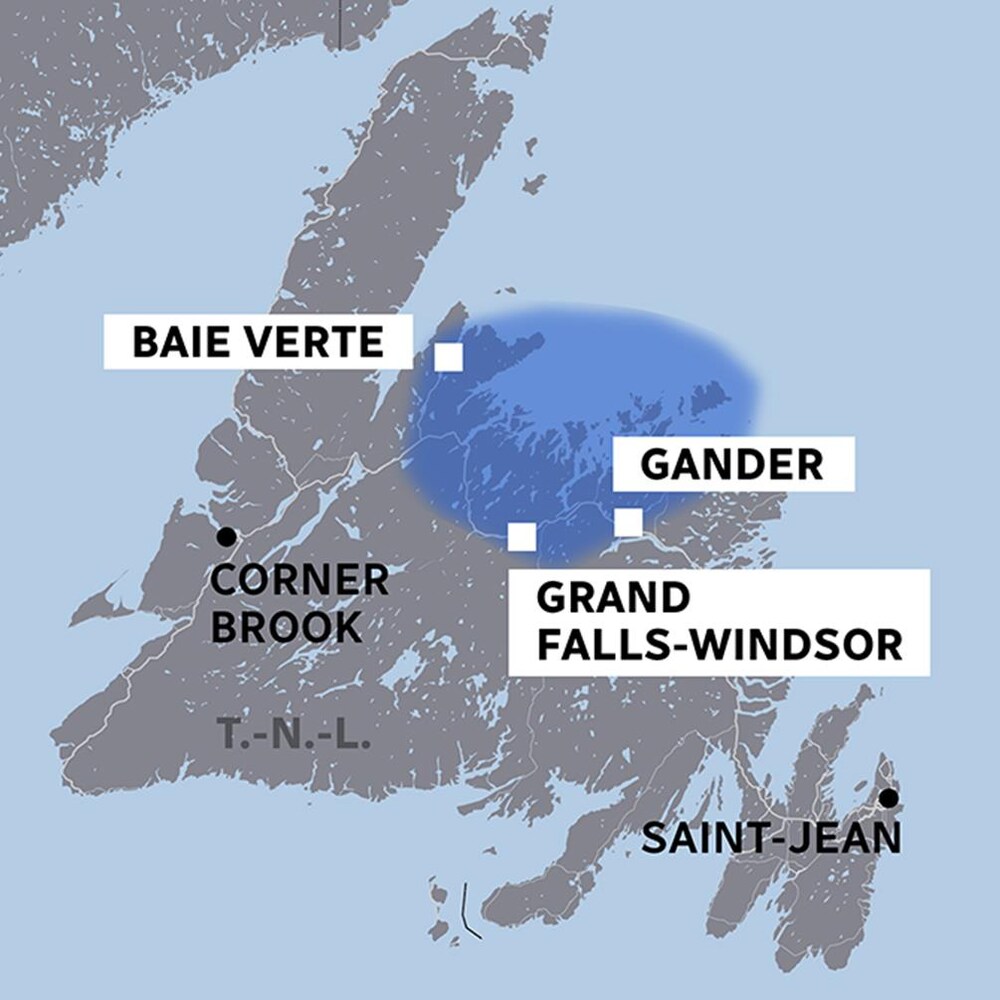 Une carte avec une bulle qui englobe les villes de Baie Verte, Gander et Grand Falls-Windsor.