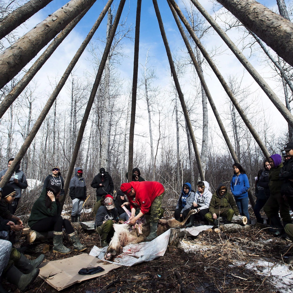 Des jeunes de la Première Nation d’Attawapiskat, située dans l’immense circonscription de Mushkegowuk-Baie James, dont fait aussi partie la région de Hearst, dépècent un caribou.