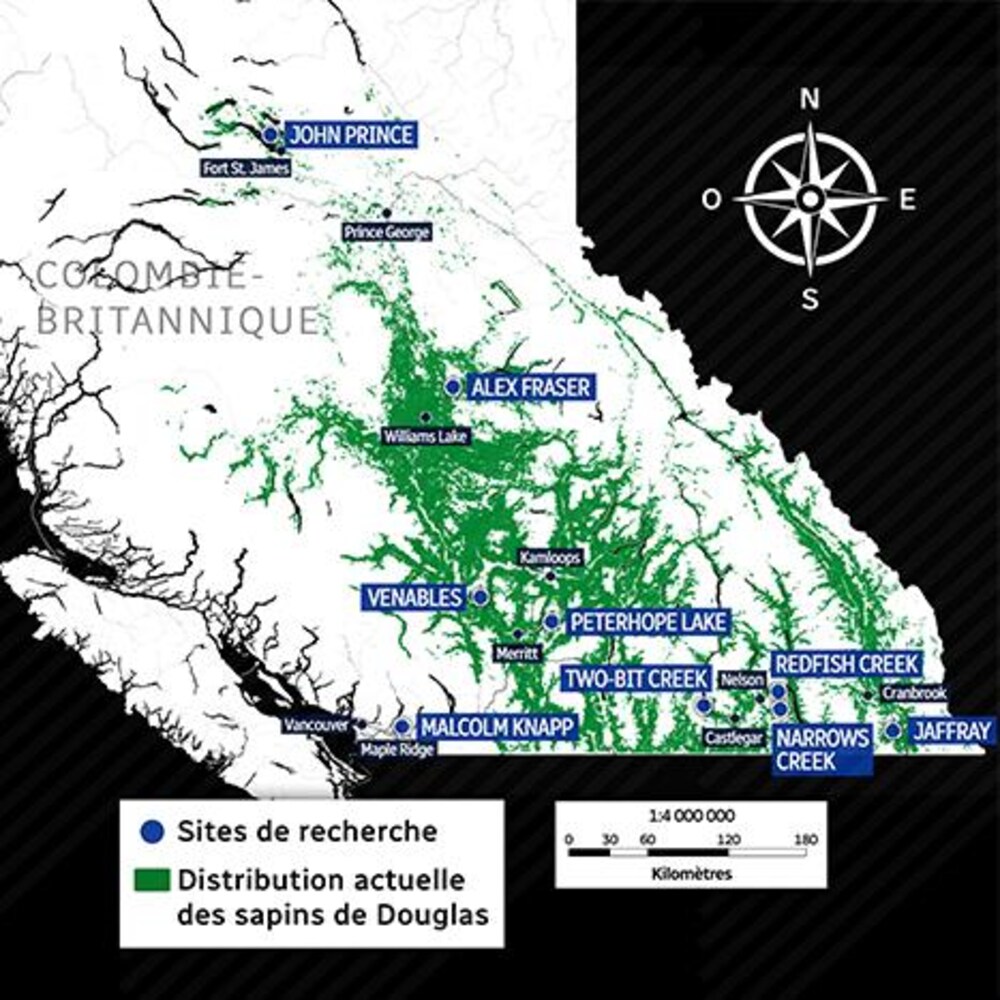 Carte de la Colombie-Britannique avec des zones vertes représentant les sapins de Douglas et des marqueurs identifiant les sites de recherche.