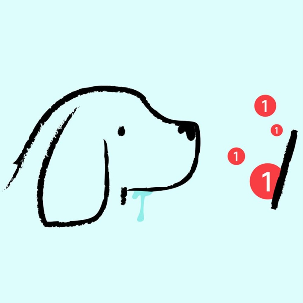 Un chien salive en regardant un écran où apparaissent des pastilles rouges de notifications.