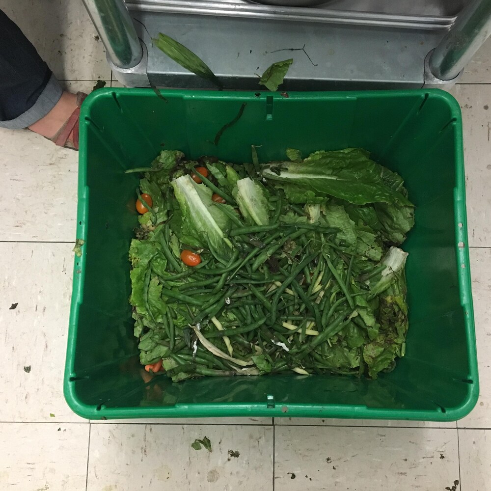 Des feuilles de laitue, des haricots verts et des tomates dans un bac à compost.
