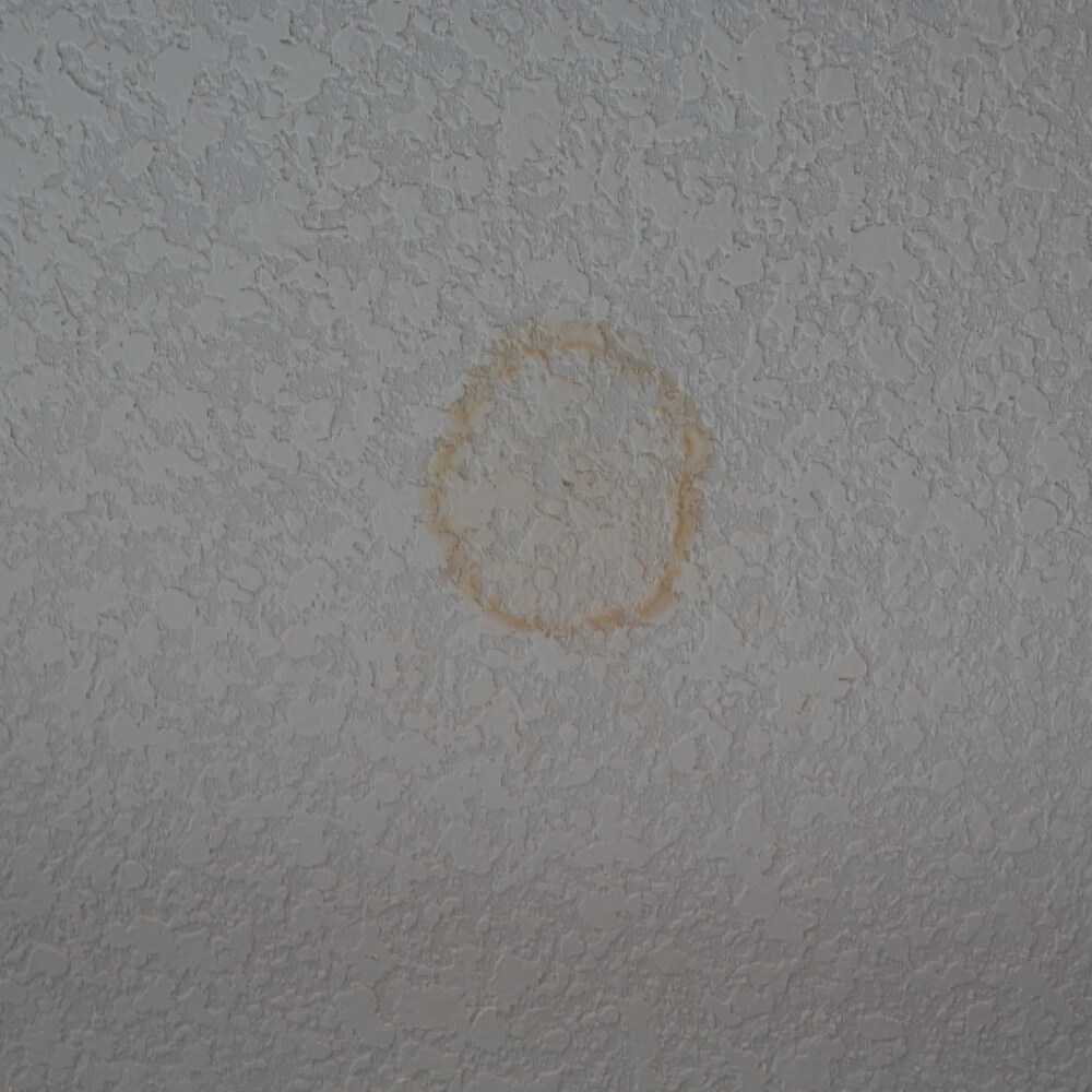 Un cerne d'humidité sur un plafond.