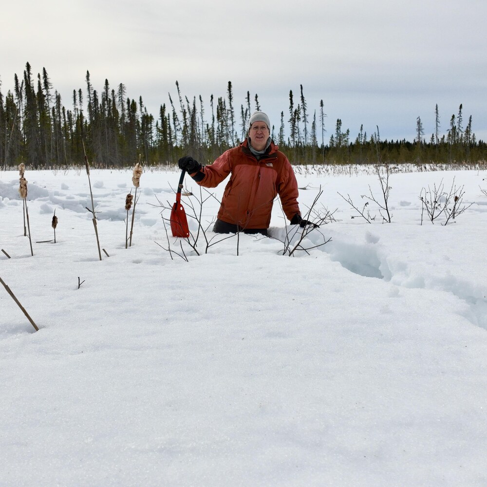 Dave Pearce est spécialiste de la conservation des forêts pour l'organisme Wildlands League. Il est dans la neige avec une pelle.