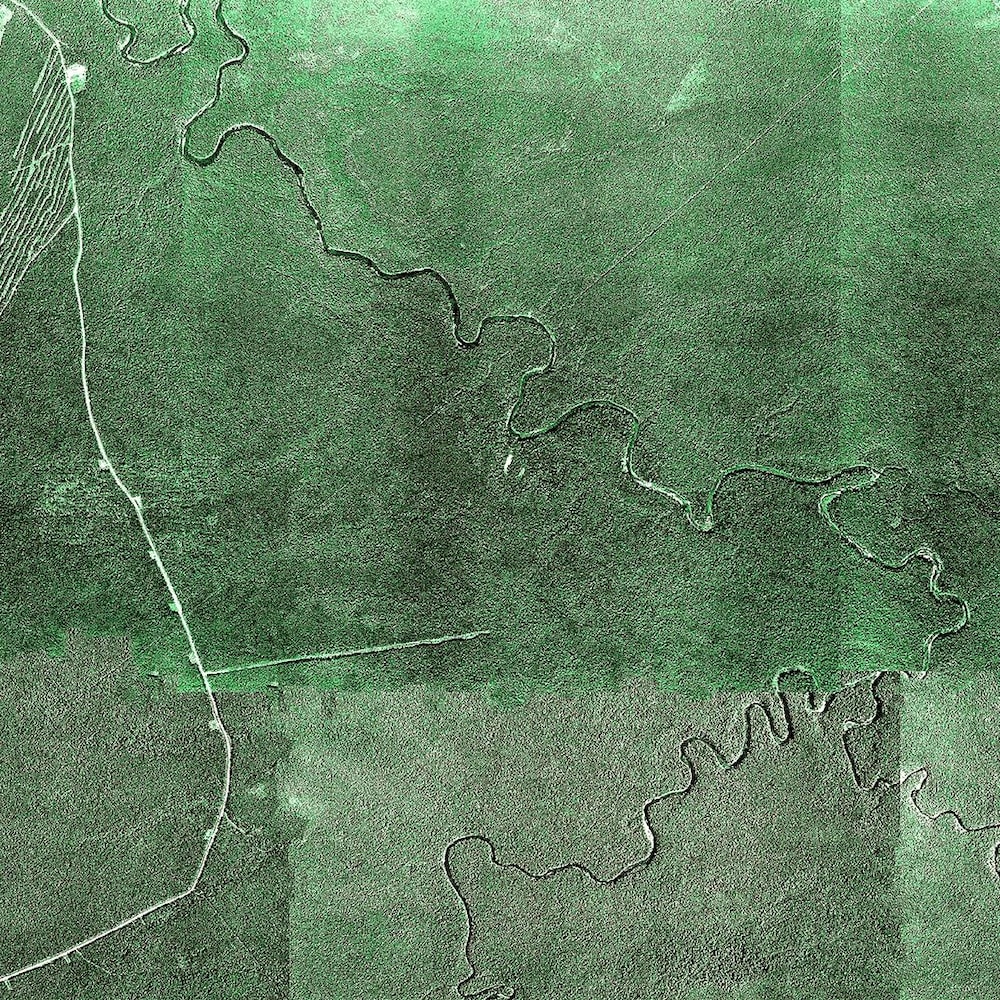 Photo aérienne de la forêt, qui est très dense. On distingue la rivière du Chêne qui se divise en trois direction, au travers de l'épaisse couverture végétale.