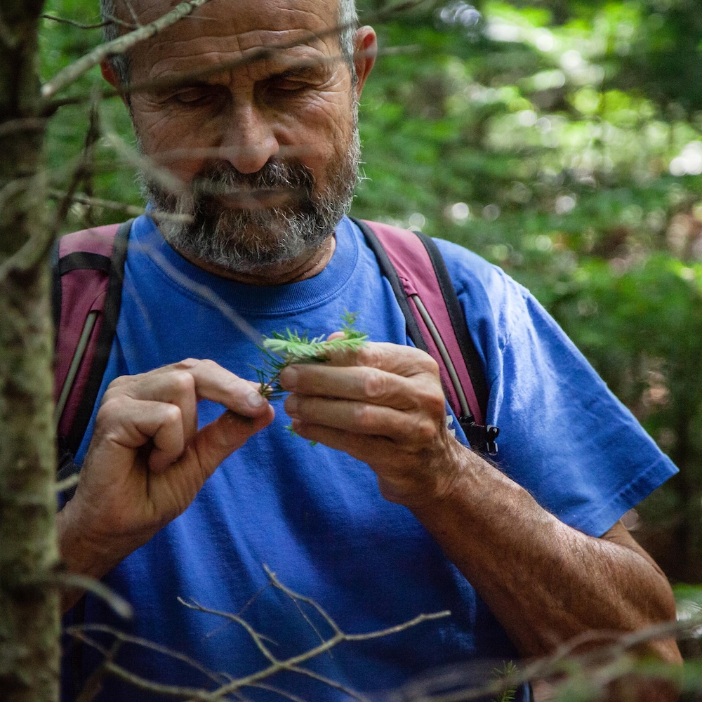 Jean-Pierre inspecte un morceau de branche au travers de la forêt dense