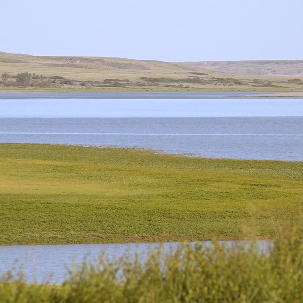 Vue du lac Diefenbaker.