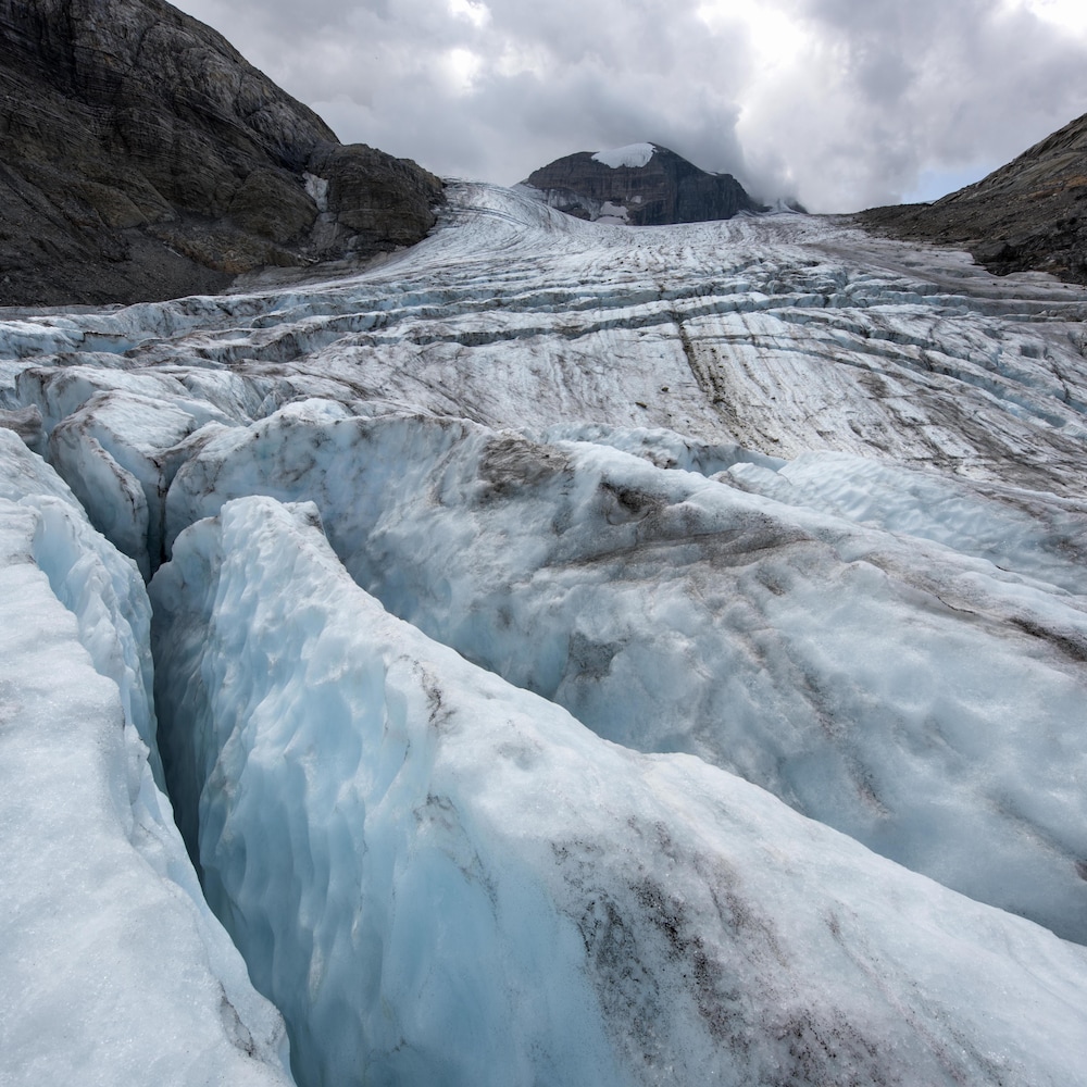 Une crevasse sur le glacier Peyto.