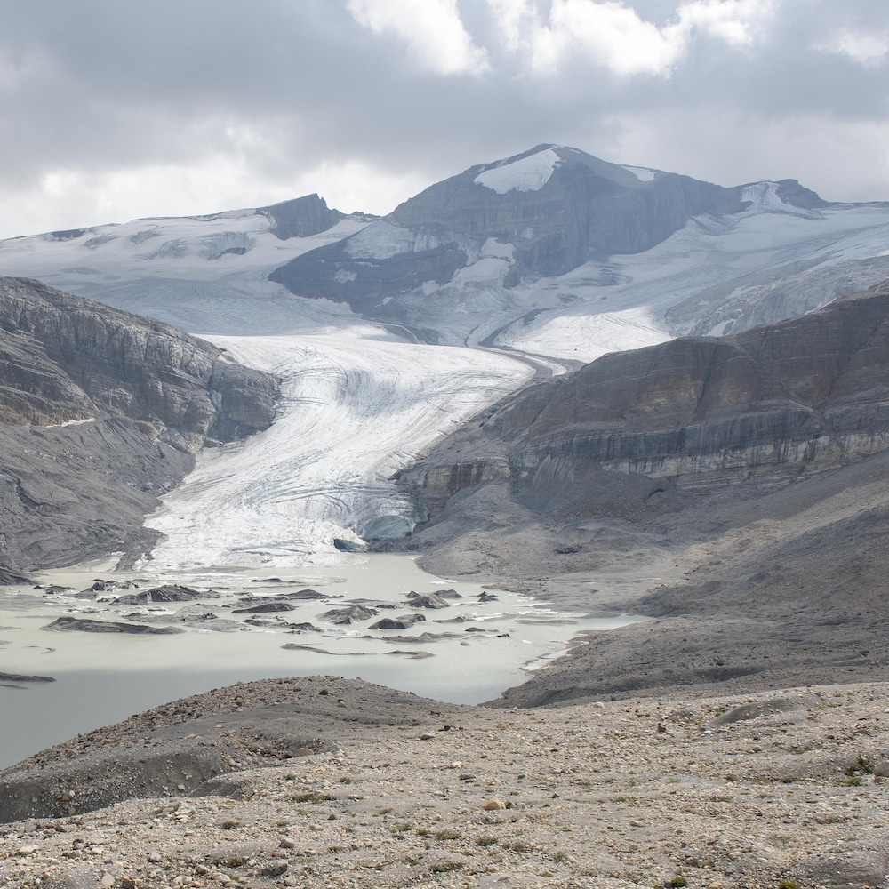 Le glacier Peyto en 2021.