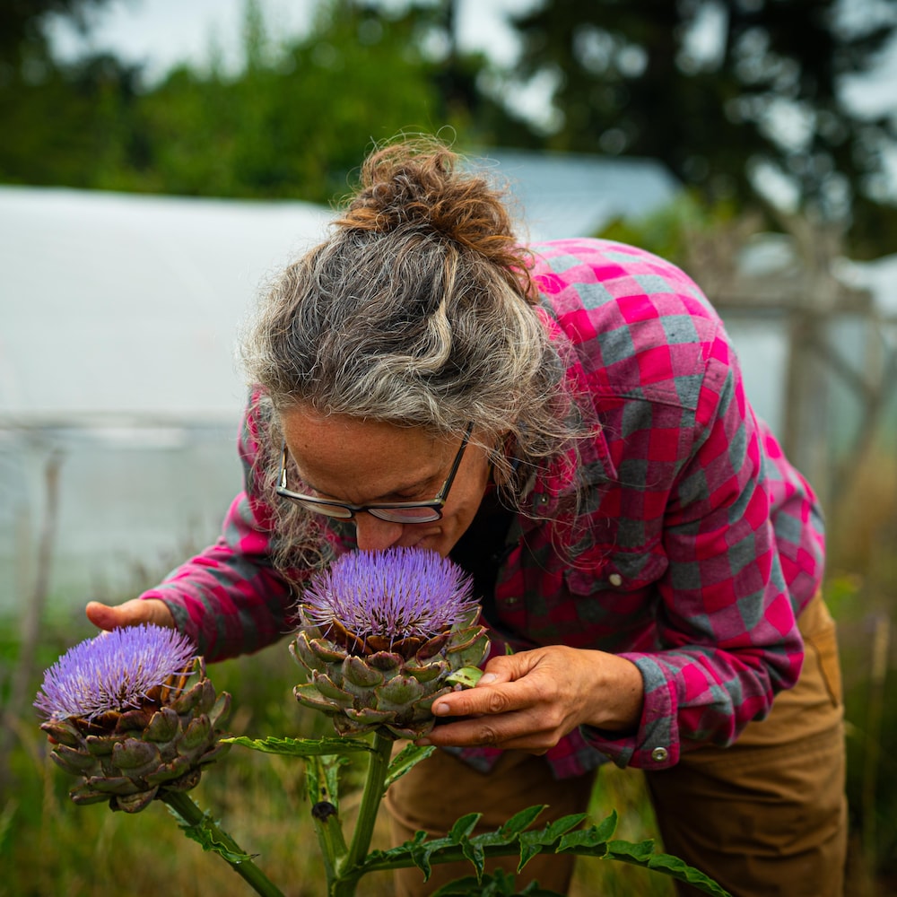 Fiona Hamersley Chambers est penchée sur une fleur d'artichaut dont elle respire l'odeur, à la ferme Metchosin, dans le sud de l'île de Vancouver, en août 2024.