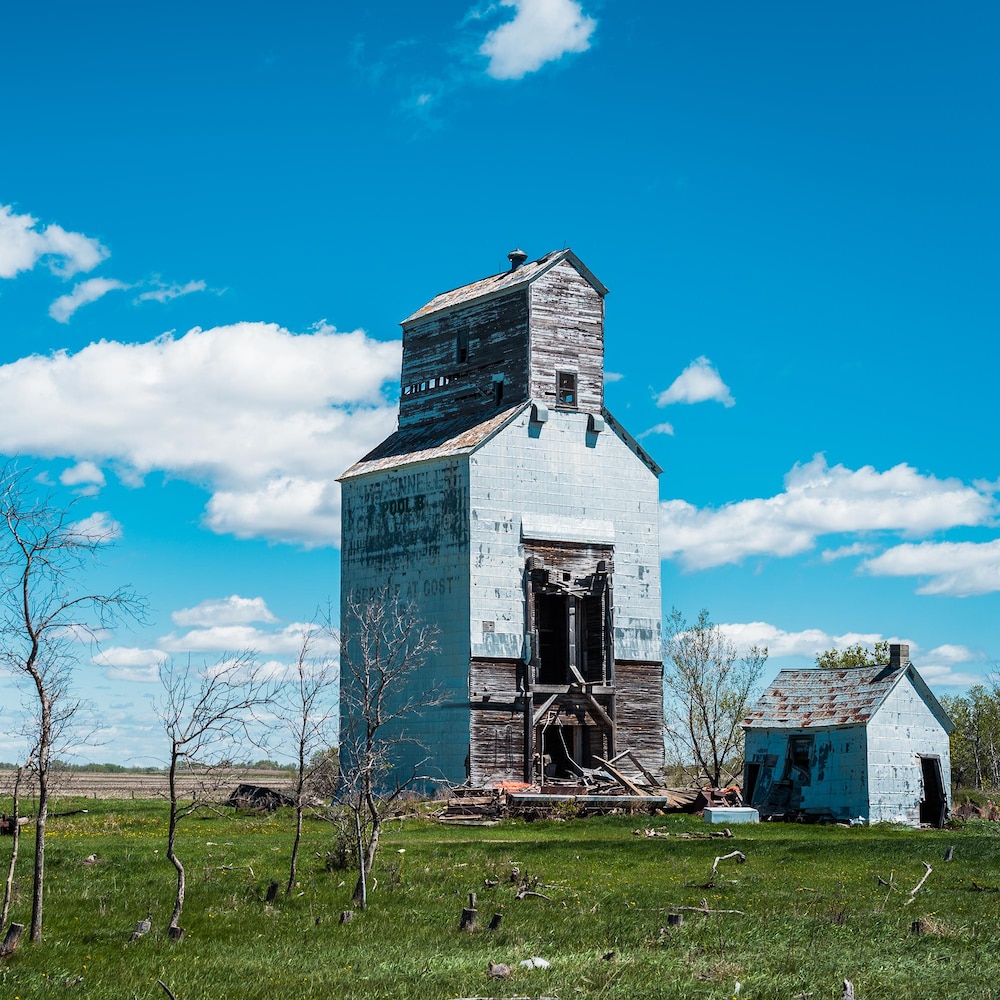 Un pré avec de petits arbres et un vieux silo à grain, à Snowflake au Manitoba, début mai 2022.